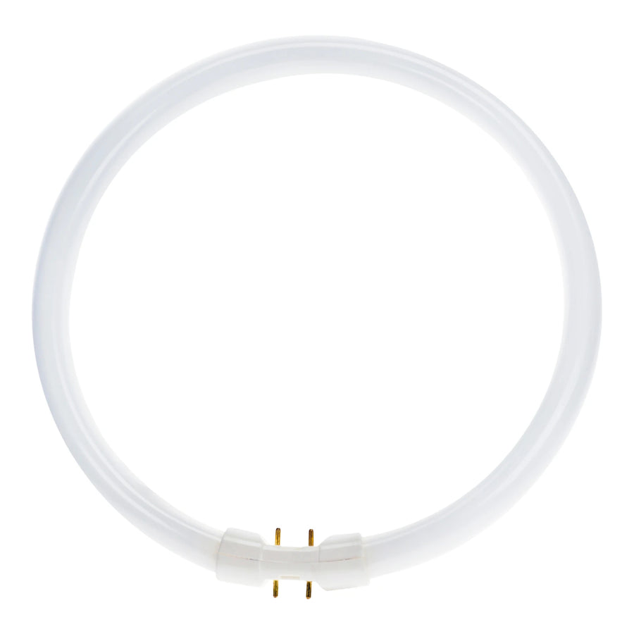 Circulaire Fluorescent TubePHILIPS MASTER TL5 Circular 60W/840 1CT/10 – PHILIPS 927966084013