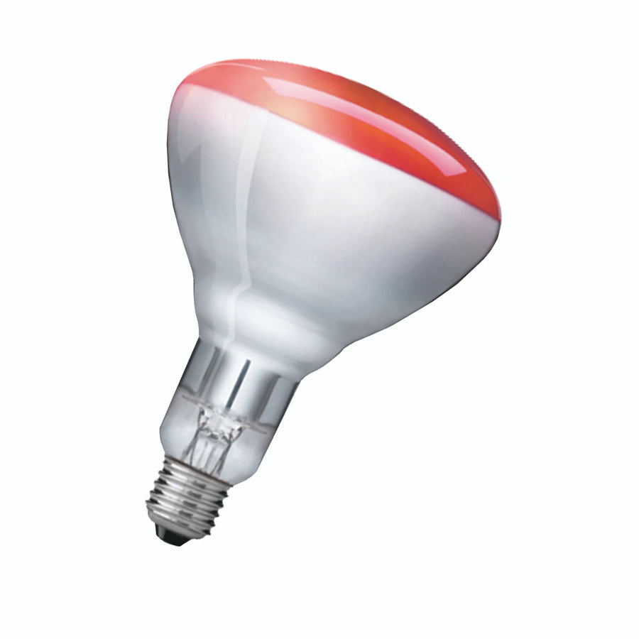 Lampe IR BR125 IR 250W E27 230-250V couleur rouge 1CT/10 – PHILIPS 923212043801