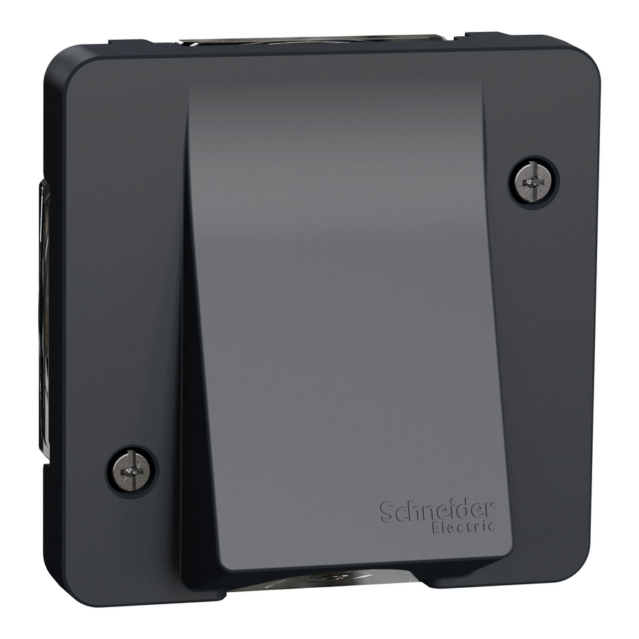 Prise de courant Mureva Styl, gris – Schneider Electric MUR37931