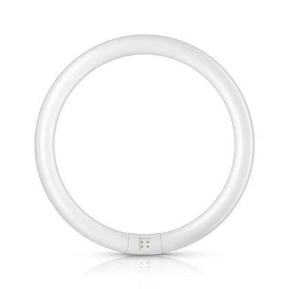 Circulaire Fluorescent TubePHILIPS TL-E 32W/840 1CT/12 – PHILIPS 928026384070