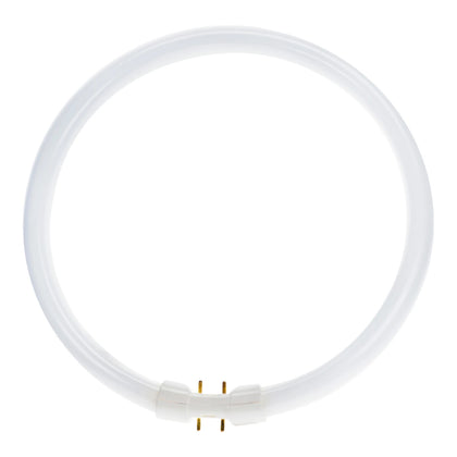 Circulaire Fluorescent TubePHILIPS MASTER TL5 Circular 60W/840 1CT/10 – PHILIPS 927966084013