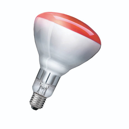 Lampe IR BR125 IR 250W E27 230-250V couleur rouge 1CT/10 – PHILIPS 923212043801